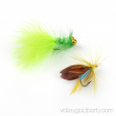 LotFancy 20PCS Dry Wet Flies Fishing - Nymph Flies, Woolly Bugger Flies, Streamers, Caddis Fly Assortment for Trout Bass Salmon